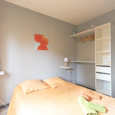 T3 Ensoleille Le Vignemale 公寓